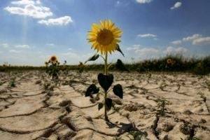Превратится ли украинский климат в "тропики" летом: синоптик дала четкий ответ