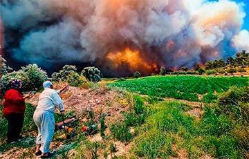 В Турции бушуют лесные пожары: шокирующие видео