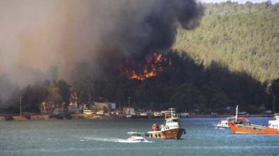 В Турции удалось локализировать 74 из 85 лесных пожаров