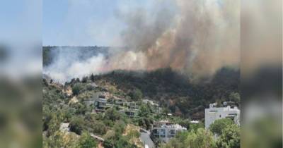 Полум'я вже на підступах до Бодруму: вражаюче відео з охопленої пожежами Туреччини