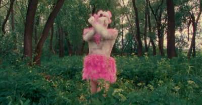 Вышел клип на кавер хита Свиридовой про розового фламинго с участием Гудкова и Понасенкова