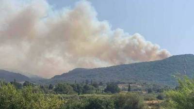 Вслед за Турцией: масштабные лесные пожары вспыхнули в соседней Греции