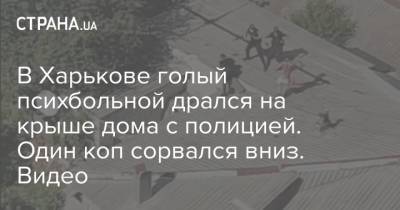 В Харькове голый психбольной дрался на крыше дома с полицией. Один коп сорвался вниз. Видео