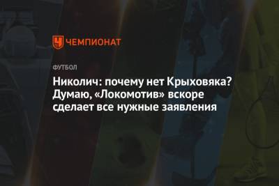 Николич: болельщики задаются вопросом, что происходит с «Локомотивом»? Я тоже
