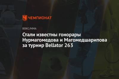 Стали известны гонорары Нурмагомедова и Магомедшарипова за турнир Bellator 263