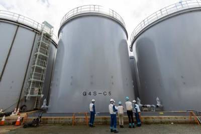 В Японии проверят воздействие очищенной воды с АЭС «Фукусима-1» на морскую флору и фауну
