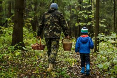 Как ребёнку не потеряться в лесу: о правилах безопасности рассказали псковичам