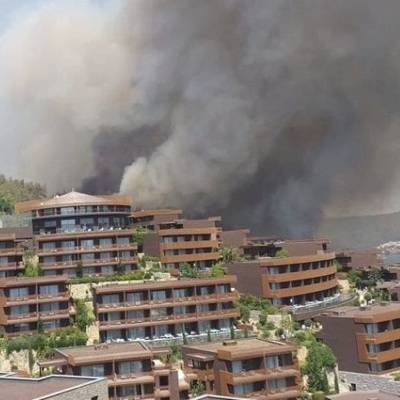 В районе турецкого Бодрума возник новый лесной пожар, 3 отеля эвакуируют
