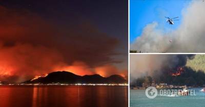 Турция лесные пожары: какие районы объявили зонами бедствия - видео