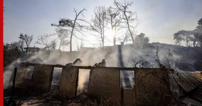 Подозреваемого в поджогах лесов задержали в Турции