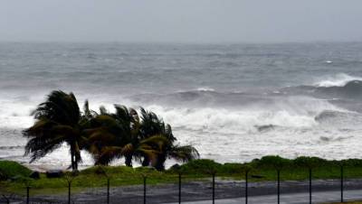 Губернатор Флориды ввел режим ЧС в 15 округах штата из-за урагана «Эльза»
