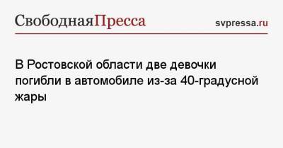 В Ростовской области две девочки погибли в автомобиле из-за 40-градусной жары