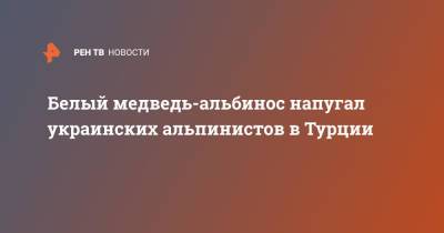 Белый медведь-альбинос напугал украинских альпинистов в Турции