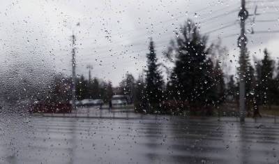 Гроза и дождь ждут жителей Тюмени в воскресенье