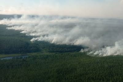 За сутки в лесах Якутии ликвидирован 41 пожар