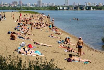 Мошки атакуют новосибирцев на пляжах: в городе пик мелкого гнуса
