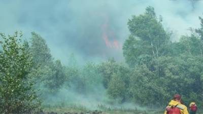 В России выросла площадь природных пожаров