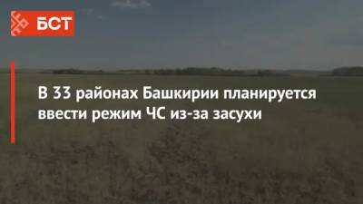 В 33 районах Башкирии планируется ввести режим ЧС из-за засухи