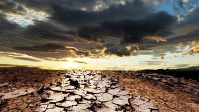 Будет ли засуха в июле 2021 года в Москве