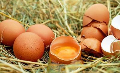 Al Jazeera (Катар): пять способов узнать, съедобно ли яйцо