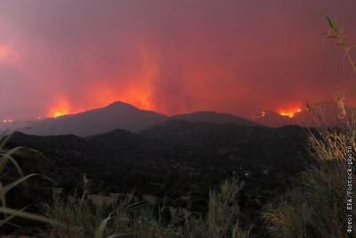 Кипр обратился за международной помощью на фоне сильных лесных пожаров