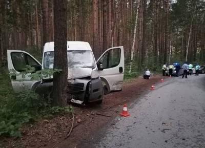 Водитель на Урале въехал в дерево и насмерть придавил сидевшую на коленях 5-летнюю дочь
