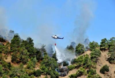 Лесной пожар на Кипре, бушующий второй день подряд, унес жизни четырех человек