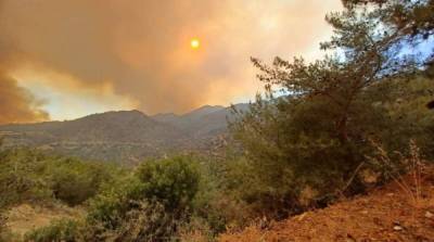 Лесной пожар на Кипре: появились первые жертвы