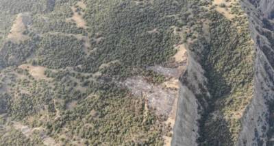 Пожар в Национальном парк Вашловани на востоке Грузии удалось локализовать