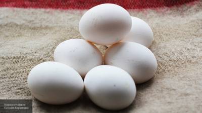 Эксперты назвали пять способов, как проверить яйца на свежесть