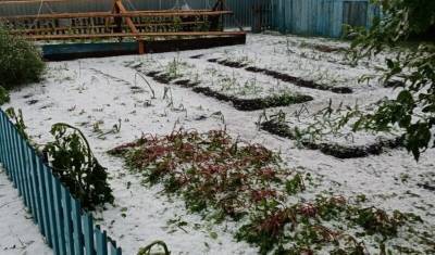 В Башкирии из-за града пострадали огороды местных жителей