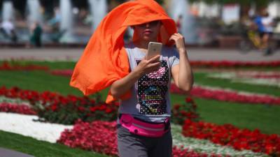 Тишковец анонсировал семидневную жару в России