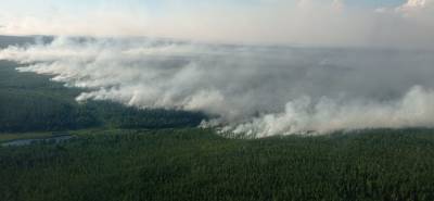 Площадь лесных пожаров в Якутии за сутки выросла на 190 тыс. га