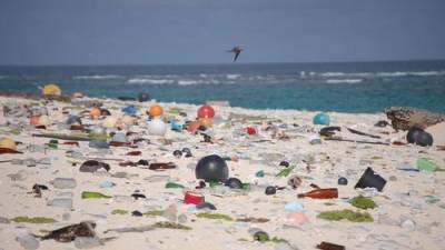 Пластиковый мусор заносят течения на необитаемый остров в Тихом океане