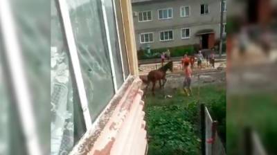 Под Воронежем парень избил лошадь на глазах у детей