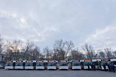 В Петербурге появятся почти три тысячи новых автобусов