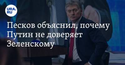 Песков объяснил, почему Путин не доверяет Зеленскому