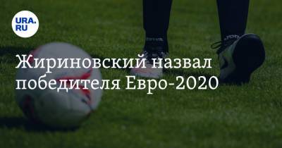 Жириновский сделал прогноз по победителям Евро-2020