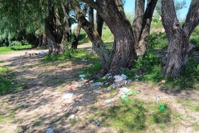 Новгородцы недовольны горами мусора на Мячинских озерах