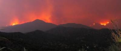 На Кипре бушуют сильнейшие за почти 50 лет лесные пожары. Погибли четыре человека