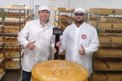 В Марий Эл изготовили самую большую в России голову твердого сыра