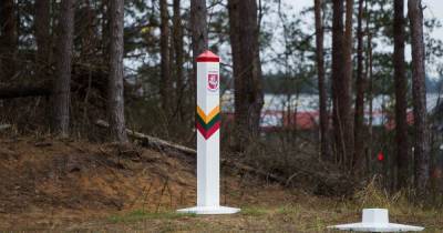 В Литве пограничники задержали нелегальных мигрантов, применив слезоточивый газ и оружие