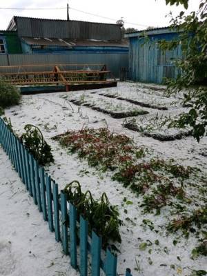 «Думали, конец света»: В Башкирии участки жителей одной из деревень покрылись 5-сантиметровым слоем льда
