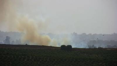 Пожары из-за огненного террора в Негеве: "На восстановление лесов уйдет 30 лет"