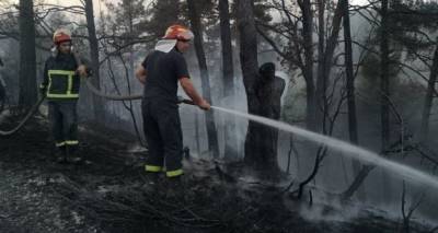 Пожар в Национальном парке на востоке Грузии уничтожил четыре гектара леса