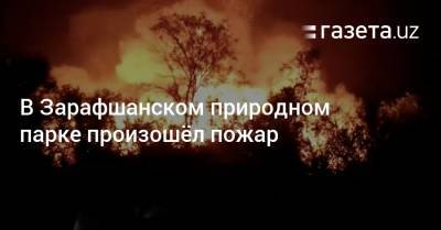 В Зарафшанском природном парке произошёл пожар