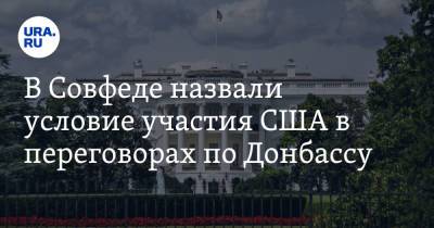 В Совфеде назвали условие участия США в переговорах по Донбассу