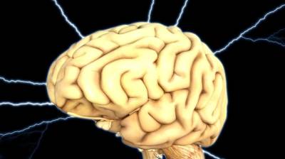 Ученые определили, какая часть мозга отвечает за духовность