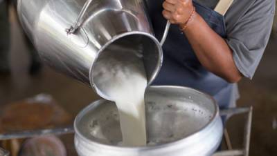 Финансовая комиссия кнессета обсудит закон о молоке: "Надо предотвратить подорожание"