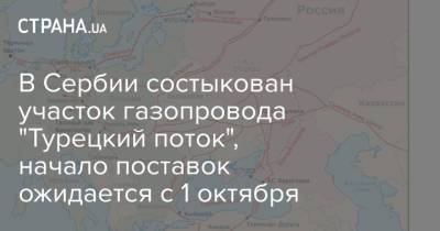 В Сербии состыкован участок газопровода "Турецкий поток", начало поставок ожидается с 1 октября